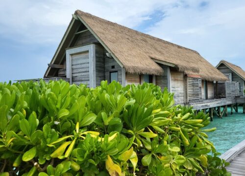 India’s Only Synthetic Thatch Roofing Manufacturers Engineered for Resorts, Outdoor Spaces, and Extreme Weather